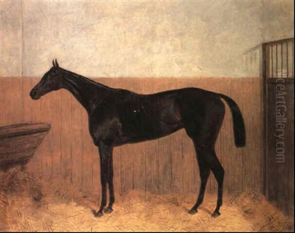 A Portrait Of The Bay Racehorse, Achievement In A Stable Oil Painting by Harry Hall