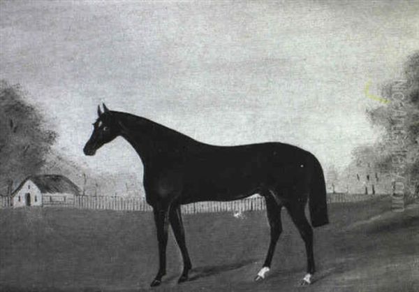 Study Of A Liver Chestnut Hunter In An Open Landscape Oil Painting by Harry Hall