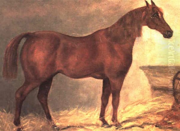 Chsetnut Hunter In A Loose Box Oil Painting by Harry Hall