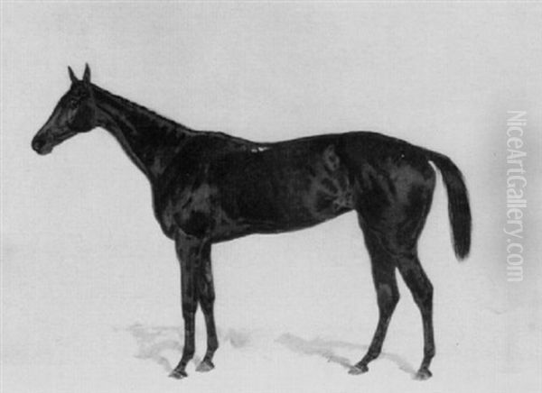 Lord Rosebery's Dark Bay Racehorse 