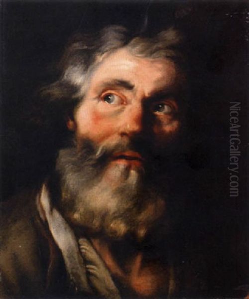 The Head Of A Bearded Man Oil Painting by Noel Halle