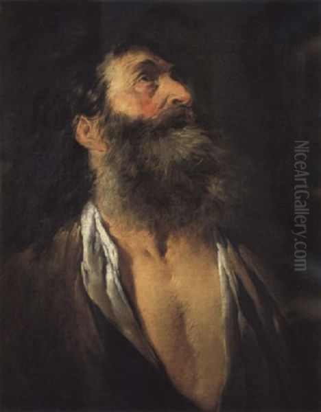 Portrait D'homme Barbu Oil Painting by Noel Halle