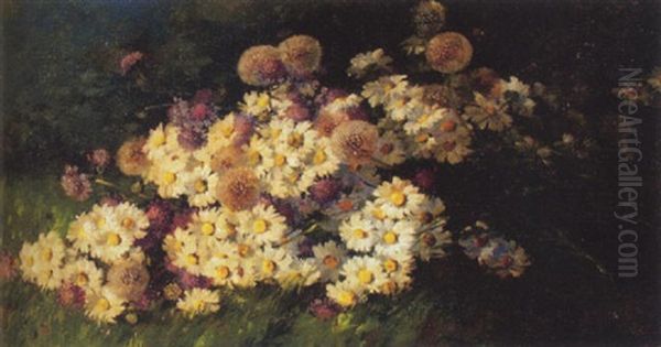 Blumenstrauss Mit Margriten, Skabiosen Und Lowenzahn Auf Wiese Oil Painting by Anna Haller