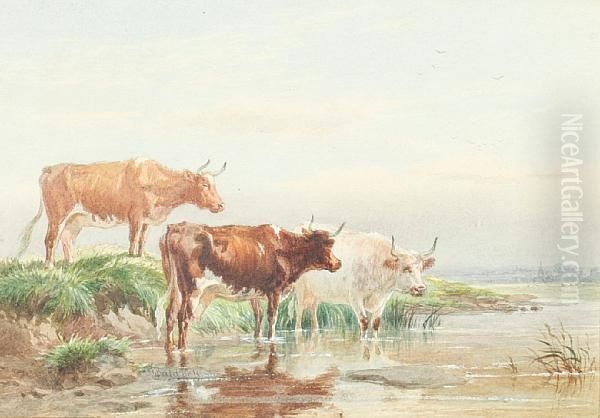 Cattle In A Pool Oil Painting by James Walsham Baldock