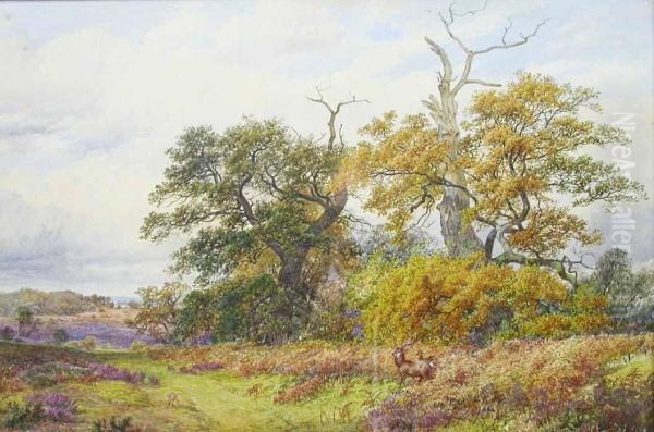 New Forest Scene With Stags Oil Painting by James Walsham Baldock