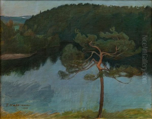 Pine Tree By The Shore Oil Painting by Pekka Halonen