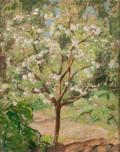 Apple Tree In Blossom Oil Painting by Pekka Halonen