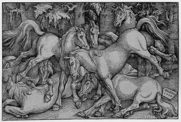 Kampfende Pferde Oil Painting by Hans Baldung Grien