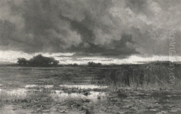 A Marshy Landscape At Dust Oil Painting by Keeley Halswelle