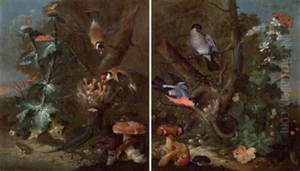 Stilleben Mit Vogeln Und Pilzen (+ Another; Pair) Oil Painting by Johann Baptist Halszel