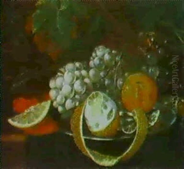 Stilleben Von Weintrauben, Orangen Und Einer Zitrone Oil Painting by Johann Baptist Halszel