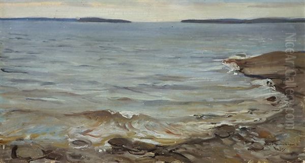 Landscape From A Shore Oil Painting by Vaeinoe Haemaelaeinen