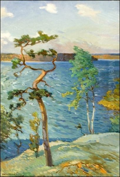 Tuulinen Kesapaiva Oil Painting by Vaeinoe Haemaelaeinen