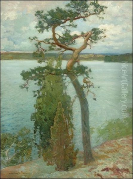 Vesijarven Rantaa Oil Painting by Vaeinoe Haemaelaeinen