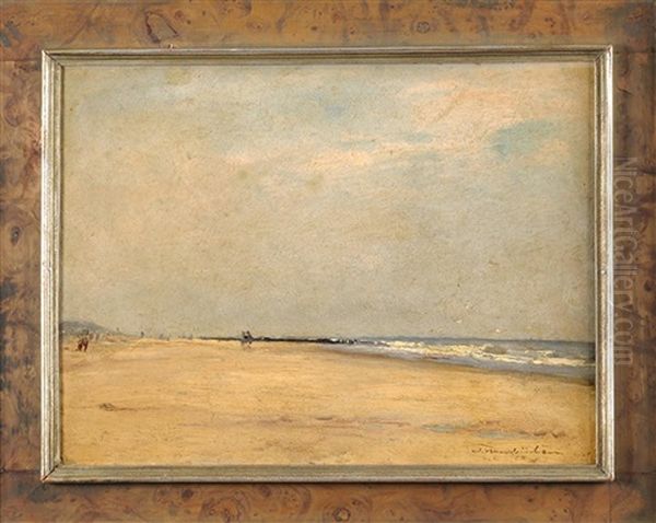 Strandlandschaft Mit Mowen Und Spaziergangern Im Hintergrund Oil Painting by Wilhelm Hambuechen