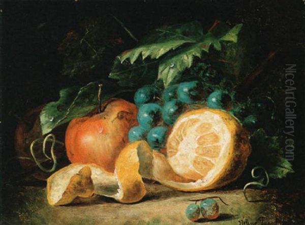 Fruit Still Life Oil Painting by Helen Hamburger