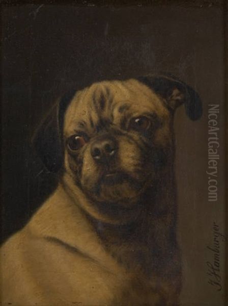 Regard Canin Oil Painting by Julius Hamburger