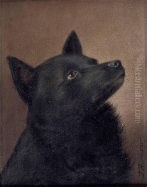 Hundebildnis - Spitz Oil Painting by Julius Hamburger