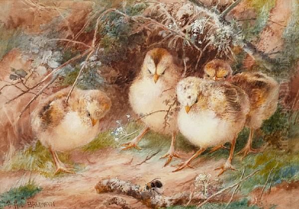 Four Chicks Watching A Bumble Bee Oil Painting by Charles Henry C. Baldwyn