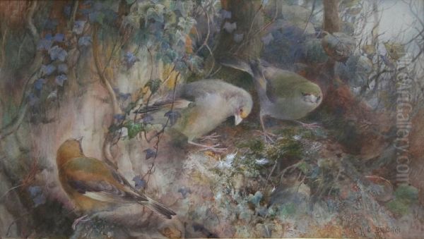 The Woodlanders: Haunt Of The Green Finches Oil Painting by Charles Henry C. Baldwyn