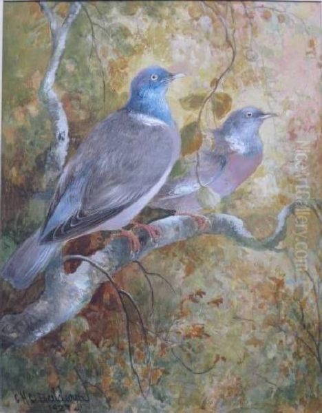 Two Birds On A Branch Oil Painting by Charles Henry C. Baldwyn