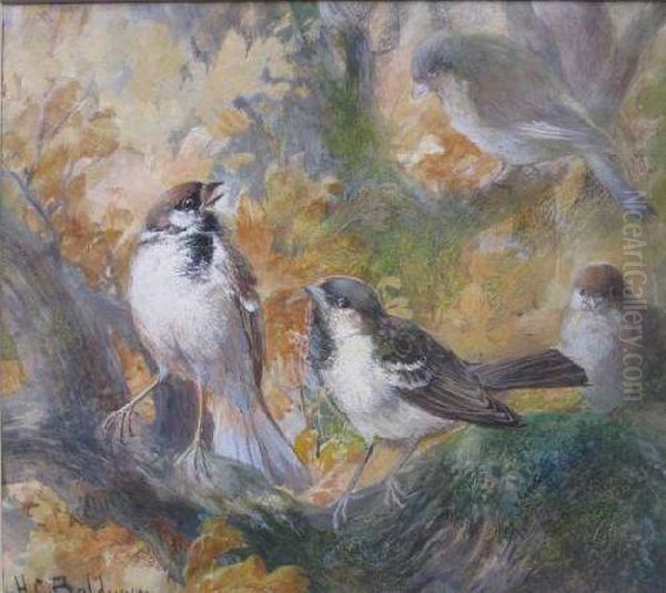 Autumn Tree Sparrows Oil Painting by Charles Henry C. Baldwyn