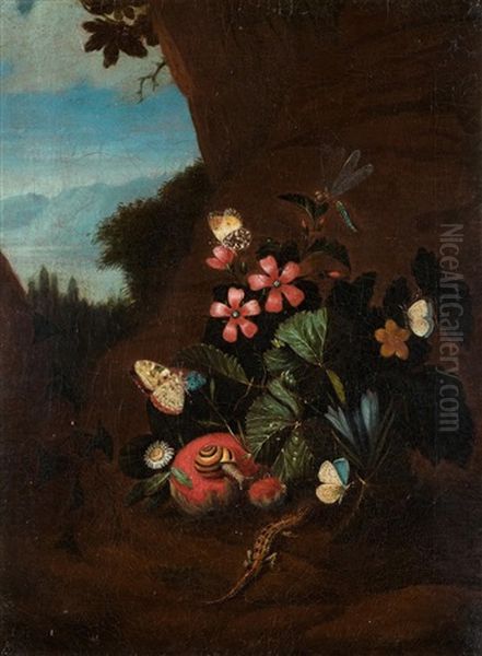 Stilleben Mit Schmetterlingen, Schnecke Und Eidechse Oil Painting by Carl Wilhelm de Hamilton