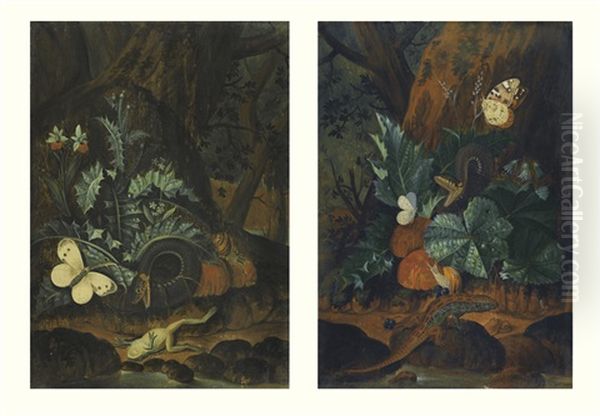 A Snake, A Snail, A Lizard And Butterflies At The Foot Of The Tree And A Snake, A Frog, A Butterfly And A Snail At The Foot Of A Tree (pair) Oil Painting by Carl Wilhelm de Hamilton