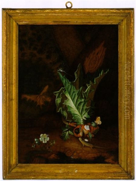 Distel, Schmetterling, Libelle, Eidechse, Schnecke Und Schlange Am Waldesgrund Oil Painting by Carl Wilhelm de Hamilton