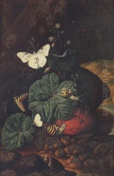 A Forest Floor Still Life With A Snake, Snails And Butterflies Oil Painting by Carl Wilhelm de Hamilton