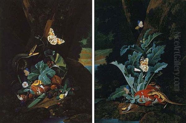 A Forest Floor Still Life With A Snake, Butterflies, Snails And A Grasshopper Oil Painting by Carl Wilhelm de Hamilton