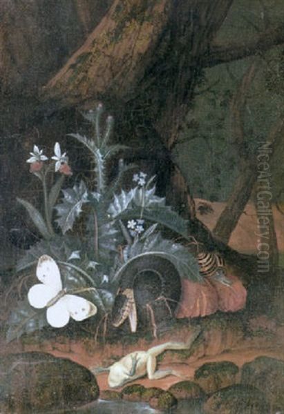 Still Life Of A Snake, A Snail, A Toad And A Butterfly Amid Undergrowth Beside A Pool Oil Painting by Carl Wilhelm de Hamilton