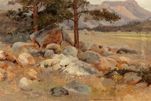 Rocky Pasture Oil Painting by Hamilton Hamilton