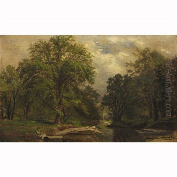 Woodland Landscape Oil Painting by Hamilton Hamilton