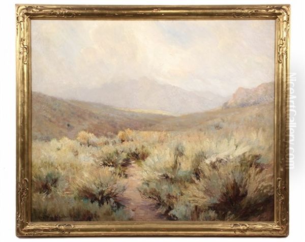 The Anza Borrego Oil Painting by Hamilton Hamilton