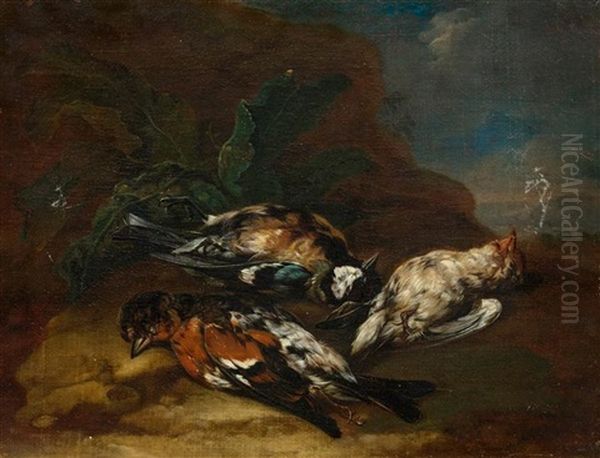 Jagdstillleben Mit Vogeln (pair) Oil Painting by Johann Georg de Hamilton