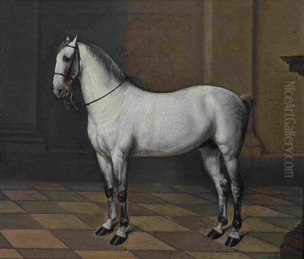 Lipizzanerhengst Oil Painting by Johann Georg de Hamilton