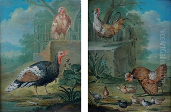 Poule Et Coq Avec Leurs Poussins (in 2 Parts)(+ Couple De Dindons; Pair) Oil Painting by Johann Georg de Hamilton