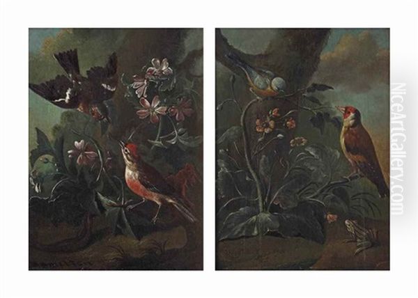 A Forest Floor With Two Finches In A Bed Of Flowers; And A Forest Floor With A Finch And A Small Bird With A Frog Oil Painting by Philipp Ferdinand de Hamilton