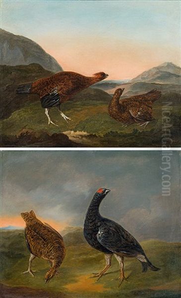 Blackcox And Partridges (a Pair) by Philipp Ferdinand de Hamilton