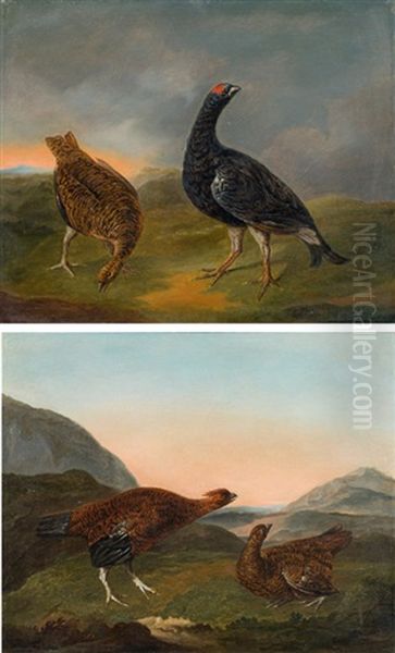 Pendants: Birk- Und Rebhuhner (2 Works) Oil Painting by Philipp Ferdinand de Hamilton