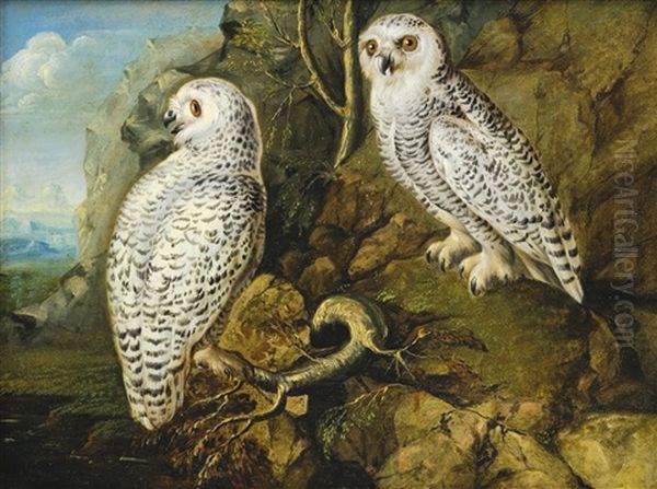 Two Female Snowy Owls In A Mountainous Landscape Oil Painting by Philipp Ferdinand de Hamilton