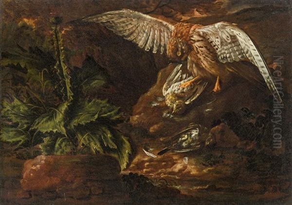 Hunting Hawk Oil Painting by Philipp Ferdinand de Hamilton