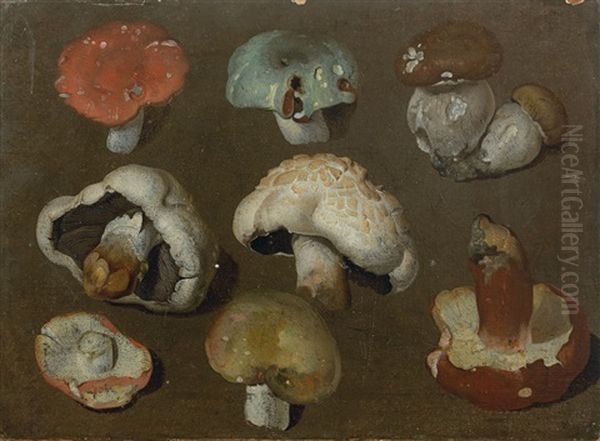 Etude De Champignons Oil Painting by Philipp Ferdinand de Hamilton