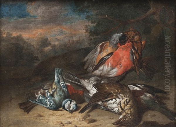 Nature Morte Aux Oiseaux Oil Painting by Philipp Ferdinand de Hamilton