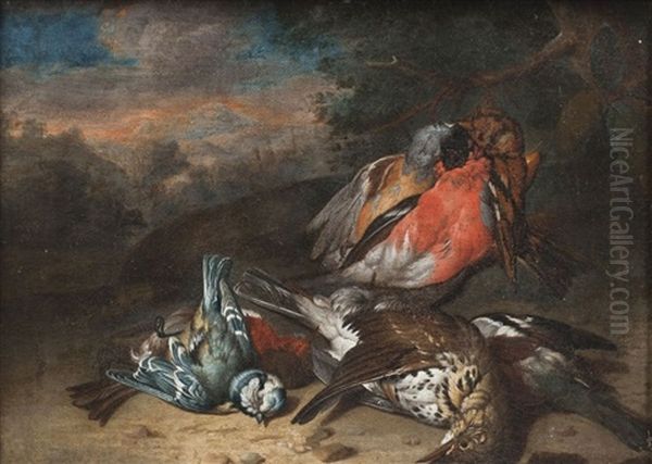 Nature Morte Aux Oiseaux Oil Painting by Philipp Ferdinand de Hamilton