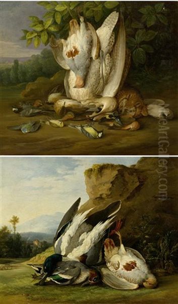 Jagdstillleben Mit Vogeln (pair) Oil Painting by Philipp Ferdinand de Hamilton