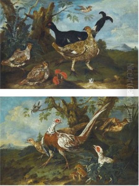 Three Pheasants And A Snipe; Four Black Grouse (pair) Oil Painting by Philipp Ferdinand de Hamilton