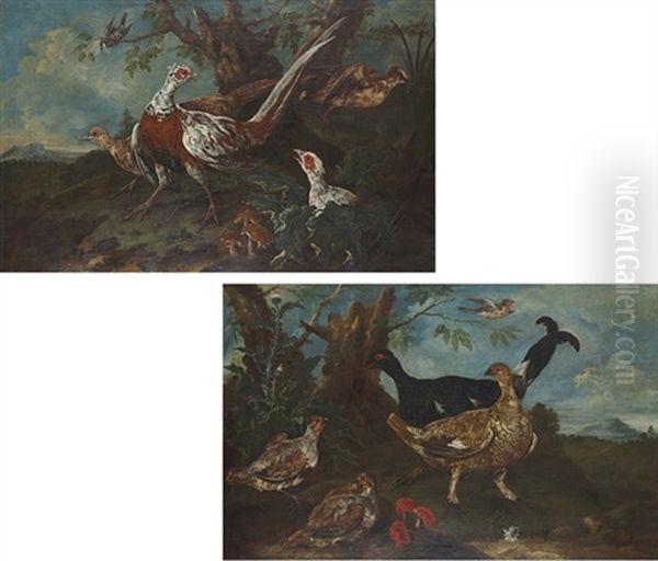 Pheasant In A Landscape (+ A Pheasant And Other Birds; Pair) Oil Painting by Philipp Ferdinand de Hamilton