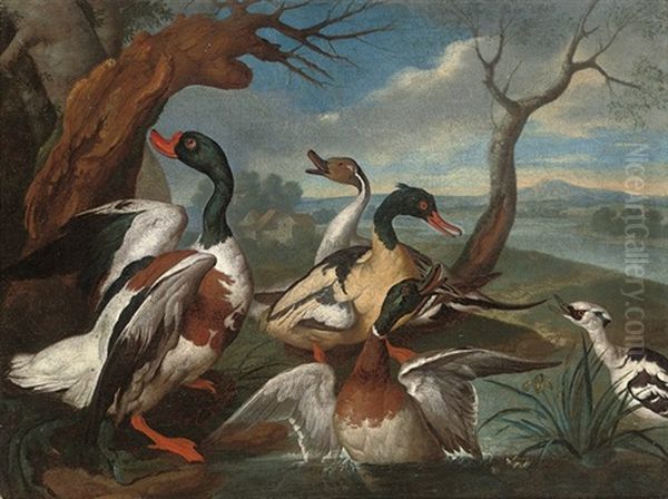 A Shellduck, A Pintail, A Mallard, And Other Ducks On The Bank Of A River Oil Painting by Philipp Ferdinand de Hamilton